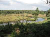 A1160 Strijbeek Hondsdonk Valkenberg 189 Meer GPS wandelingen kunt u vinden op  www.gpswalking.nl